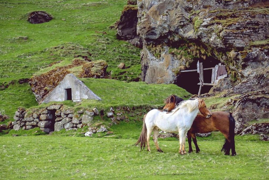 דירות אשברטון The Luxury Dartmoor Den, Dartmoor, Devon מראה חיצוני תמונה